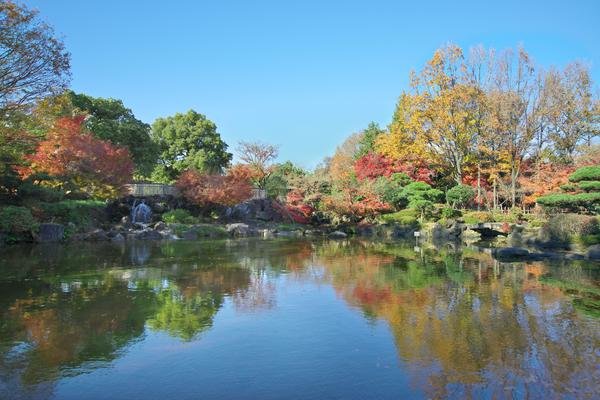 🌳 후추 숲 공원 (후추노모리 코엔) 이미지 7